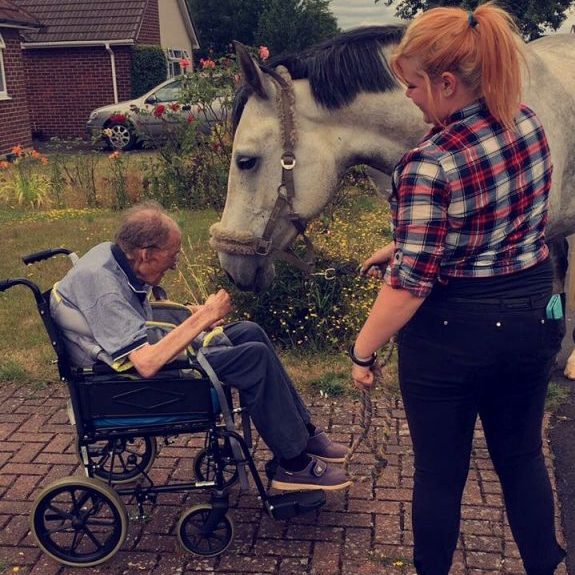 Elderly gentleman in a wheelchair feeding a grey horse, guided by a smiling young caregiver in a garden setting